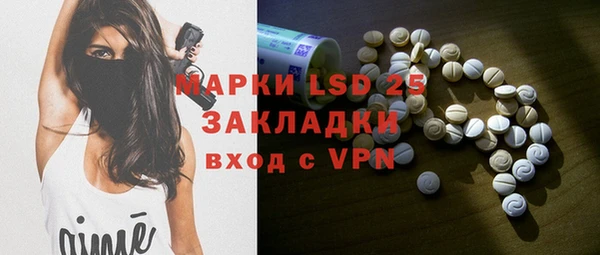 ГАЛЛЮЦИНОГЕННЫЕ ГРИБЫ Новозыбков