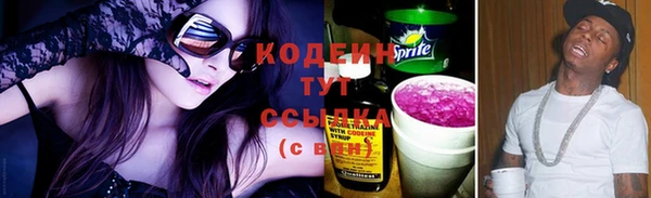 ГАЛЛЮЦИНОГЕННЫЕ ГРИБЫ Новозыбков