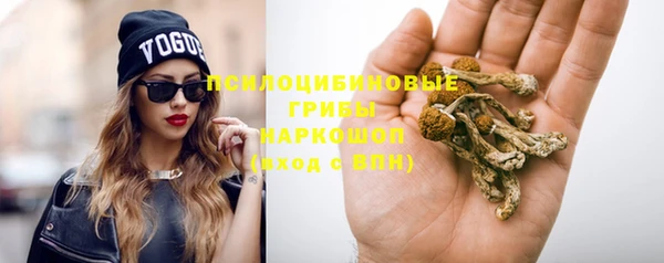 соль ск Новодвинск