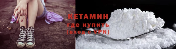 ГАЛЛЮЦИНОГЕННЫЕ ГРИБЫ Новозыбков