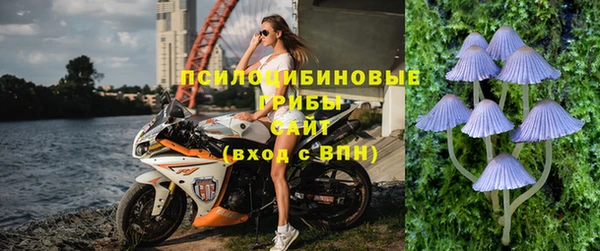 соль ск Новодвинск