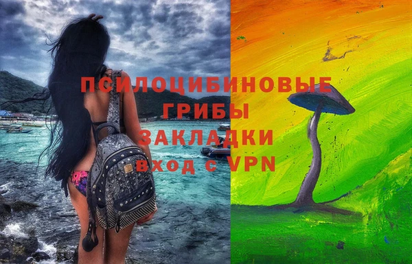 соль ск Новодвинск