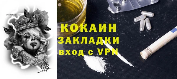 соль ск Новодвинск
