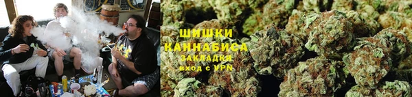 соль ск Новодвинск