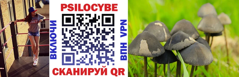 закладки  Алупка  Галлюциногенные грибы прущие грибы 